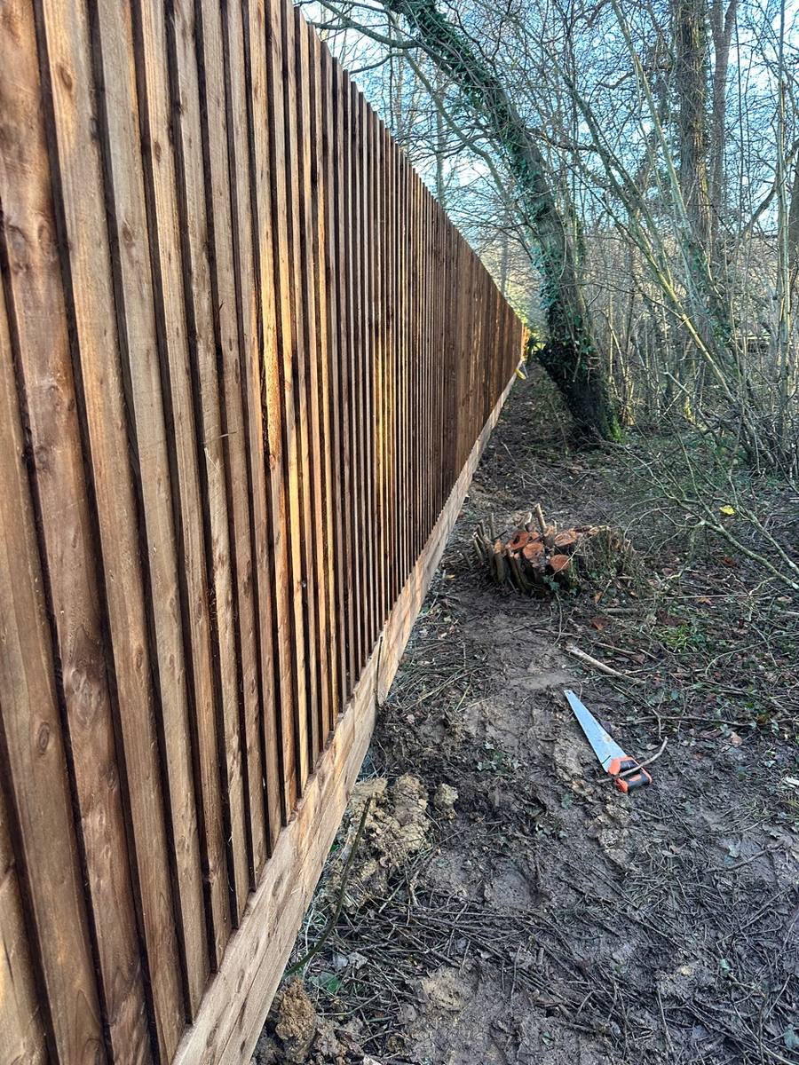 Timber double gates
